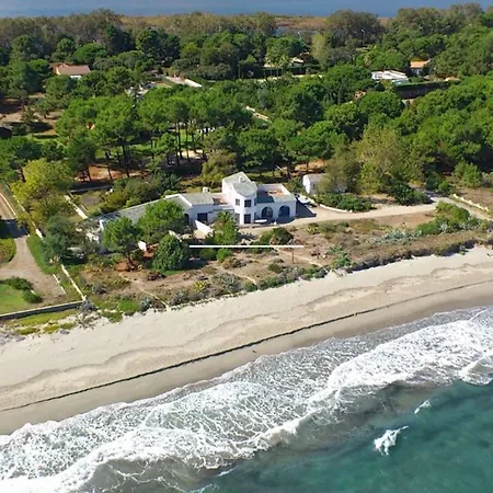 L'alzelle * ביגוגליה