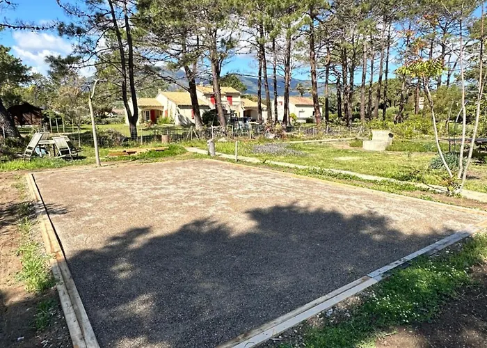 L'alzelle Biguglia (Corsica)