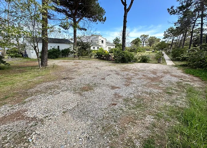 Apartment L'alzelle Biguglia (Corsica)