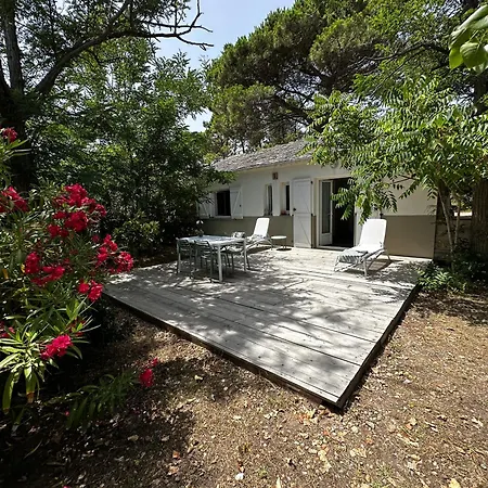 Apartman L'alzelle *