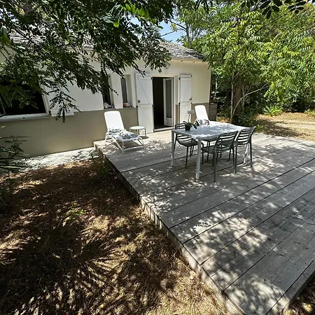 Apartment L'alzelle Biguglia (Corsica)