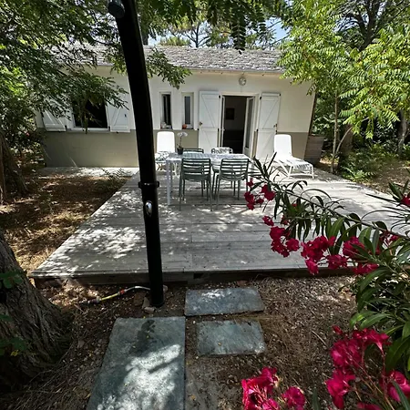 Apartman L'alzelle *