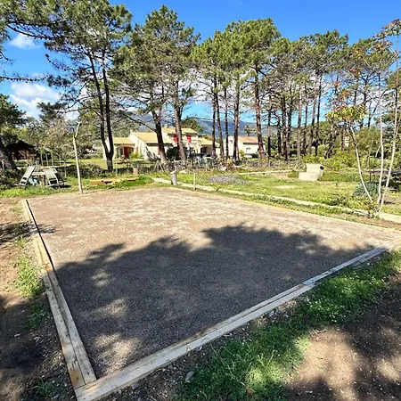 L'alzelle Biguglia (Corsica)