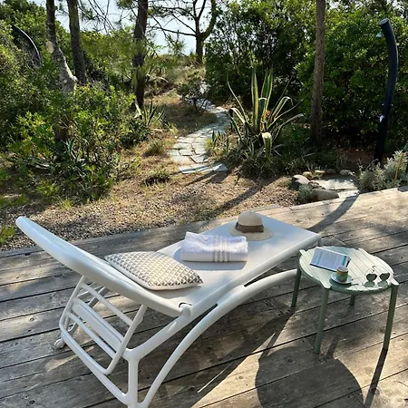 L'alzelle Biguglia (Corsica)