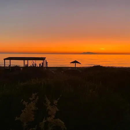 L'alzelle Biguglia (Corsica)
