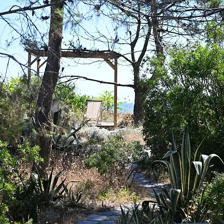 Apartment L'alzelle Biguglia (Corsica)
