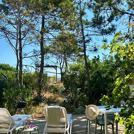 L'alzelle Biguglia (Corsica)