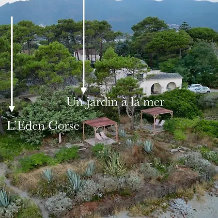 L'alzelle * Biguglia (Corsica)