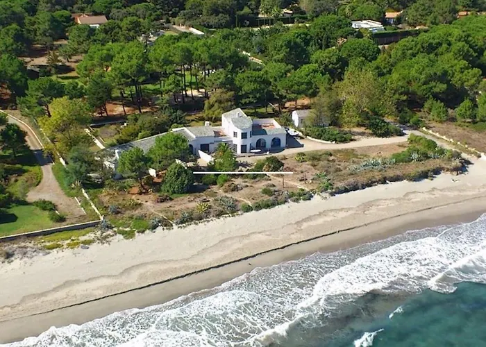 L'alzelle * Biguglia (Corsica)